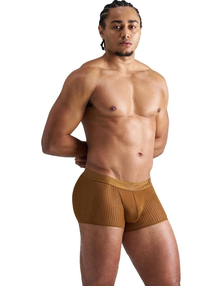 Casanova Trunk in Brass image 3