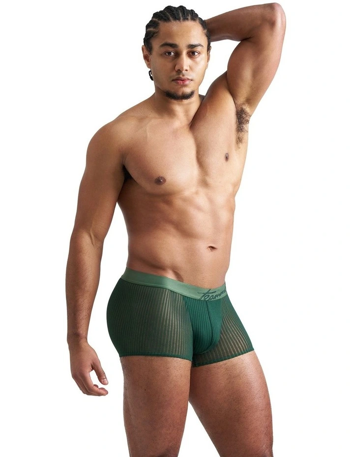 Casanova Trunk in Verde image 3