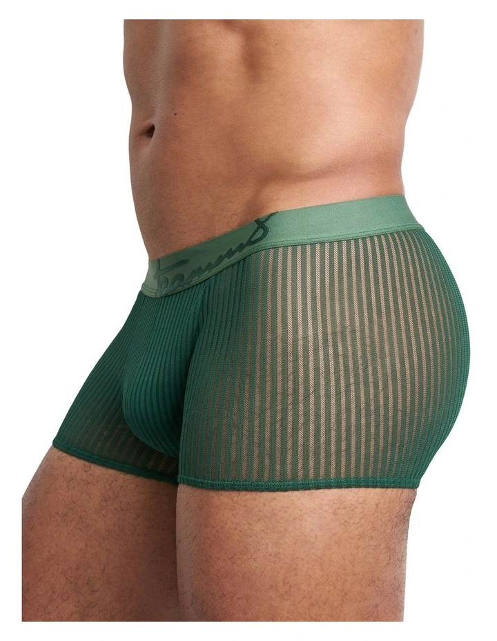 Casanova Trunk in Verde image 4