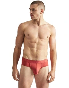 Reign Brief in Amber