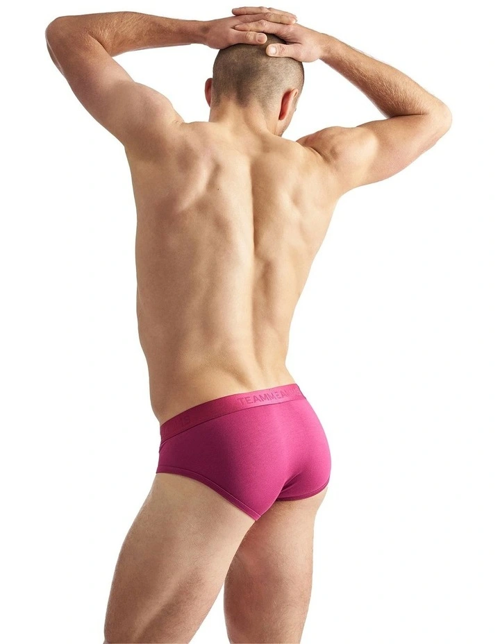 Reign Brief in Ruby image 2