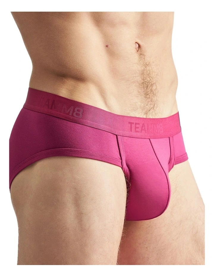 Reign Brief in Ruby image 4