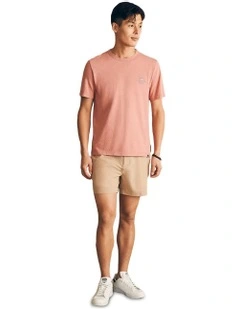 Sunwashed Graphic Tee in Faded Flag