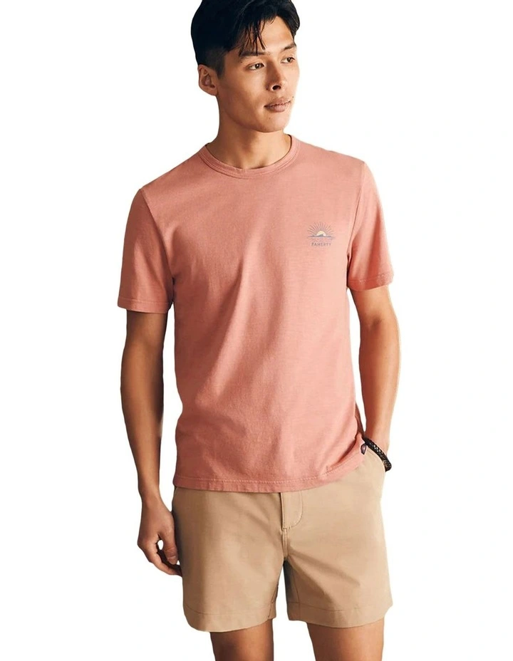 Sunwashed Graphic Tee in Faded Flag image 3