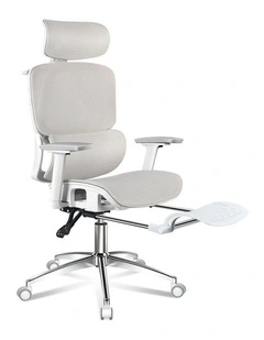 Ergonomic Office Chair in Multi
