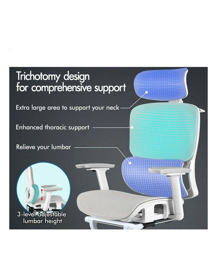 Ergonomic Office Chair in Multi image 2