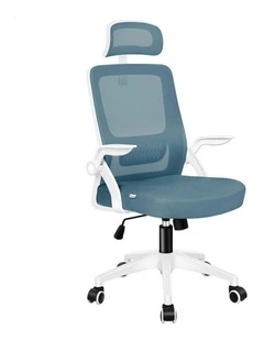 Mesh Office Chair in Blue & White