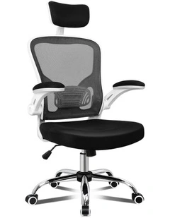 Computer Task Mesh Office Chair in Black White