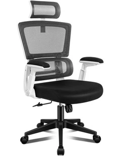 Ergonomic Computer Mesh Office Chair in Black White