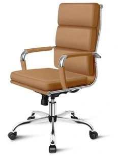 Ergonomic Padded High Back Executive Office Chair in Brown