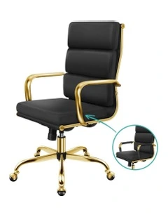 Ergonomic Padded High Back Executive Office Chair in Multi