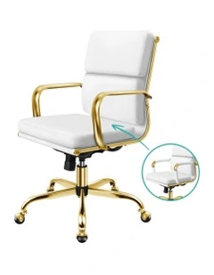 Ergonomic Padded Mid Back Executive Office Chair in Multi