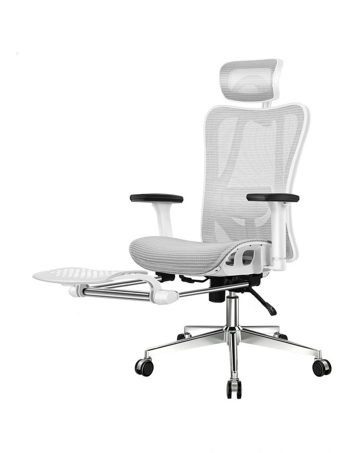 Ergonomic Executive Mesh Office Chair in Grey image 1