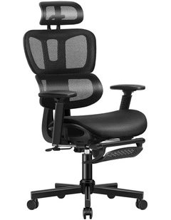 Mesh Executive Ergonomic Office Chair in Black