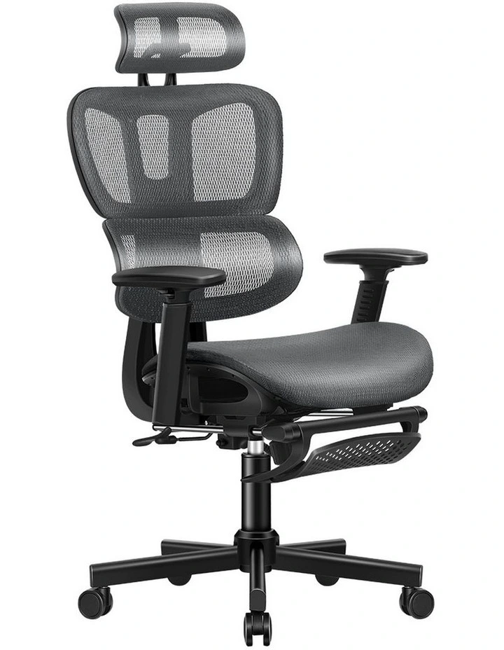 Mesh Executive Ergonomic Office Chair in Grey image 1