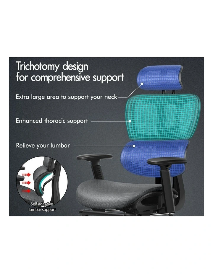 Mesh Executive Ergonomic Office Chair in Grey image 2