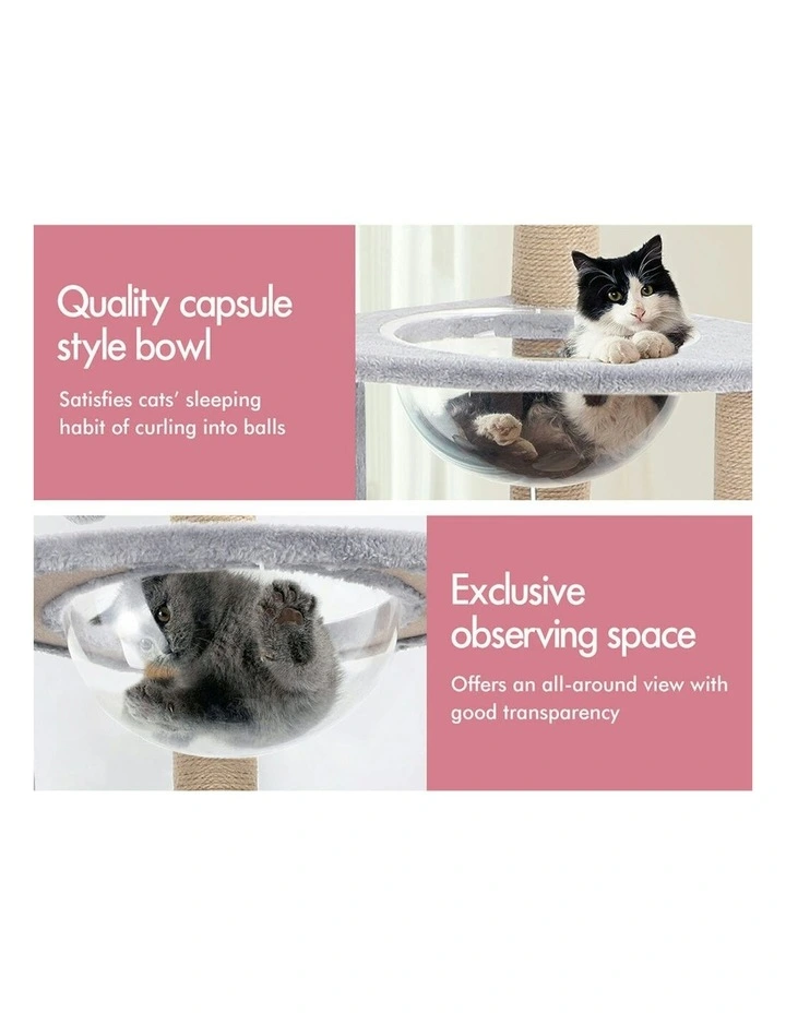 Scratching Post Wood Tree 140cm in Grey image 6