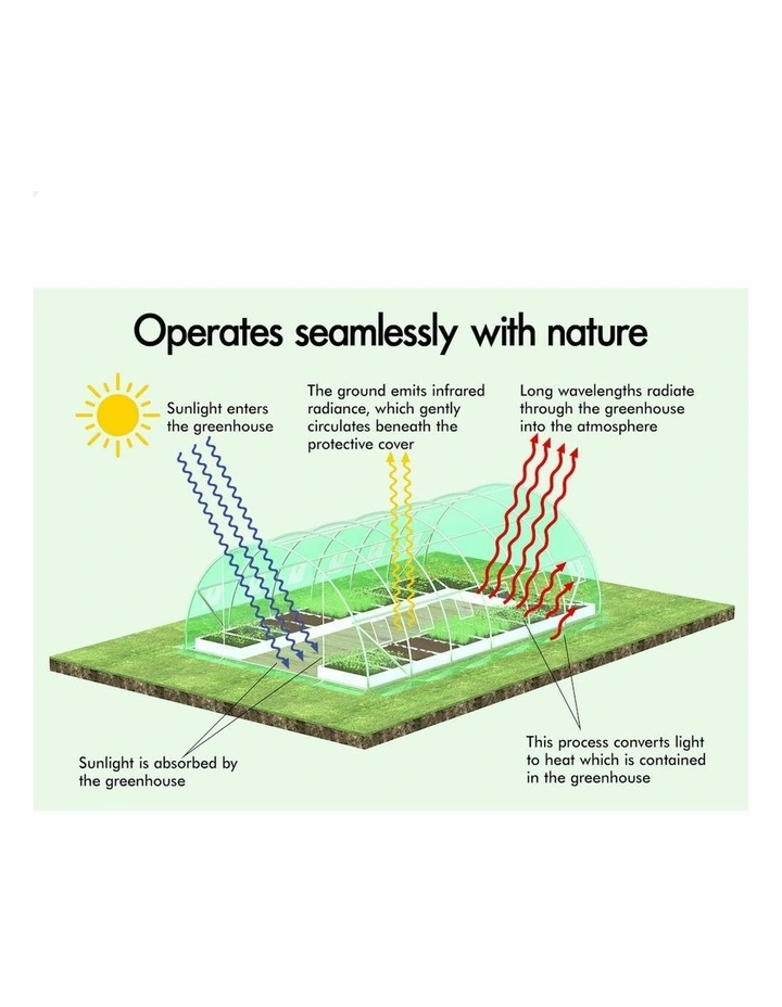 Walk In Green House Tunnel Plant Garden Shed Dome 6x4x2M in Green image 4