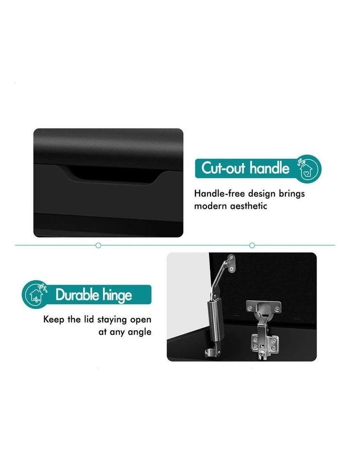 12 Pairs Shoe Cabinet Bench in Black image 5