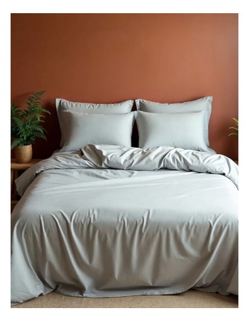 Silver Grey colour