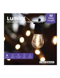 Wifi Smart Outdoor Festoon Lights in Black