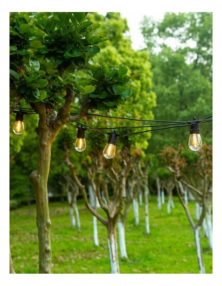 LumiFx 10 Bulb Solar Outdoor Festoon Lights image 2