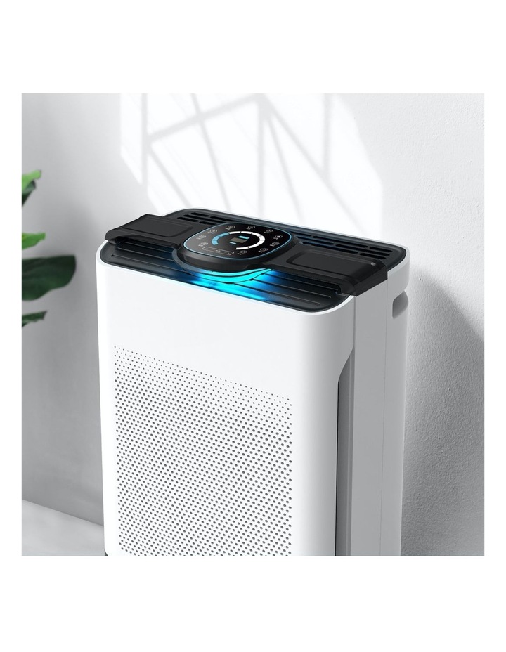 Dyson Hot Cool Purifier | Shop Online 
