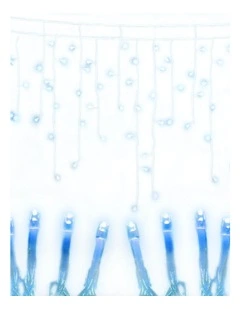 800 LED Christmas Icicle Lights 20M in Blue White Decor