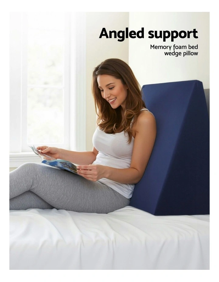Wedge Pillow Twin Pack in Blue image 2