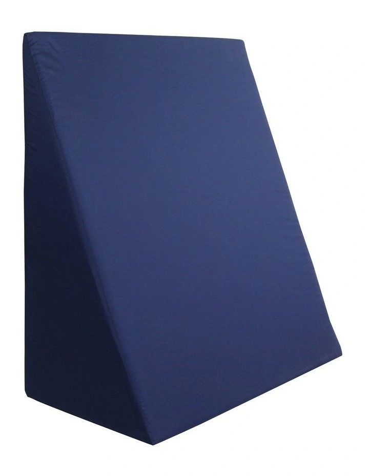 Wedge Pillow in Blue image 5