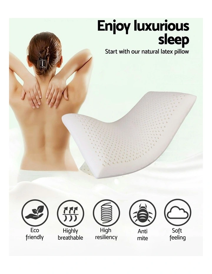 Natural Latex Pillow Classic Twin Pack in White image 2
