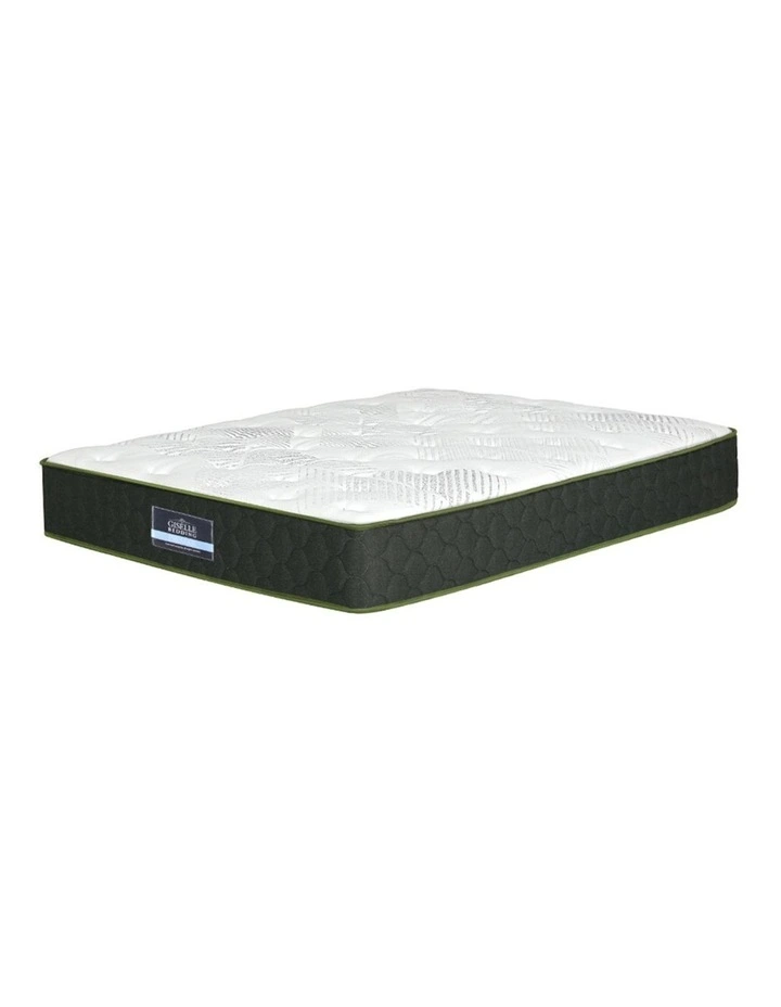 Foam King Single Mattress 25cm in Green Tea image 1