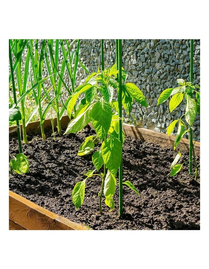 Green Fingers Metal Plant Support 24pcs 92x1.1CM image 3