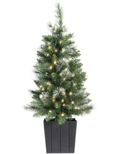 Christmas Tree 90cm Potted