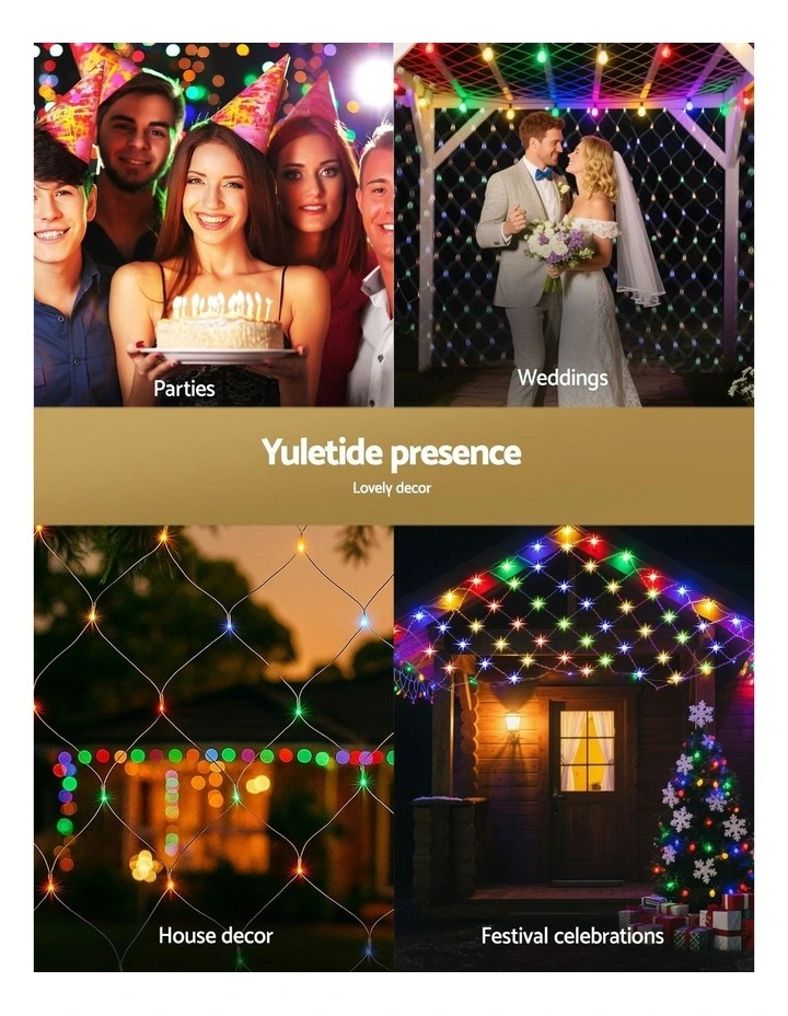 Net String Christmas Lightsin Multi image 6