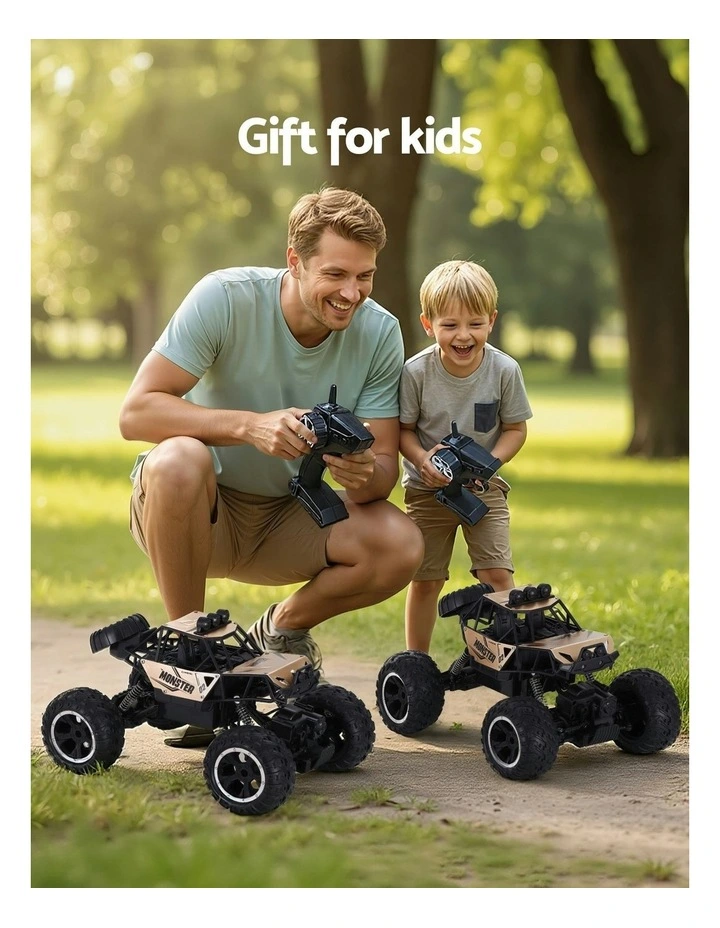 Remote Control Car image 6