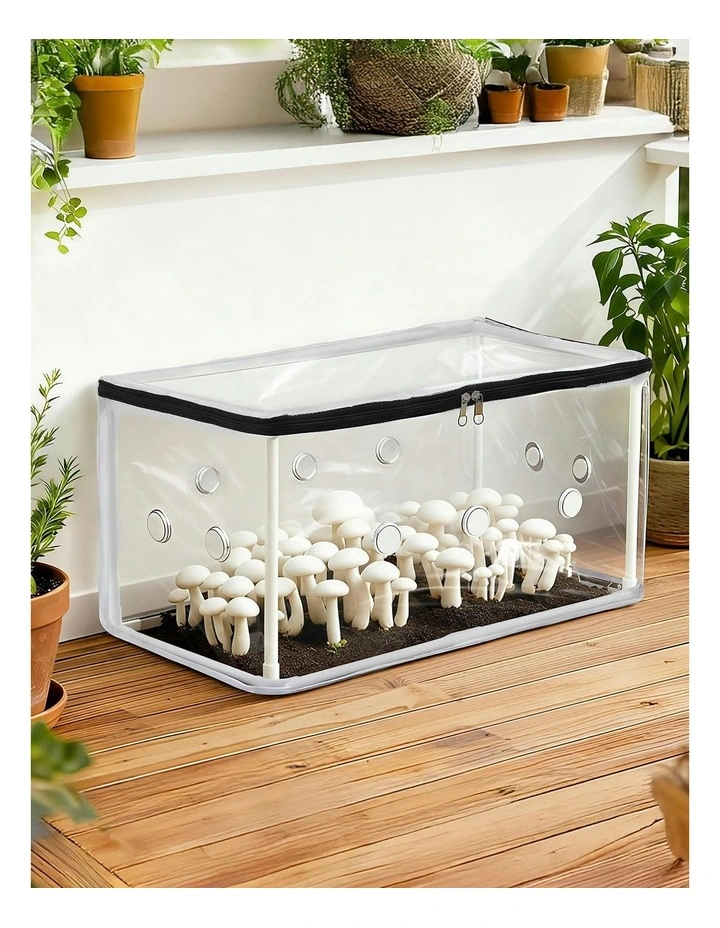 PVC Cover for Mushrooms Succulents Mini Greenhouse 50x25x25cm in White image 3