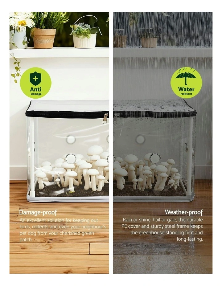 PVC Cover for Mushrooms Succulents Mini Greenhouse 50x25x25cm in White image 5
