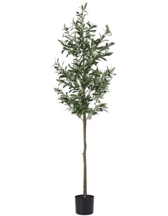 Indoor Decor Artificial Olive Tree 1.8m in Green