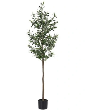 Indoor Decor Artificial Olive Tree 1.8m in Green