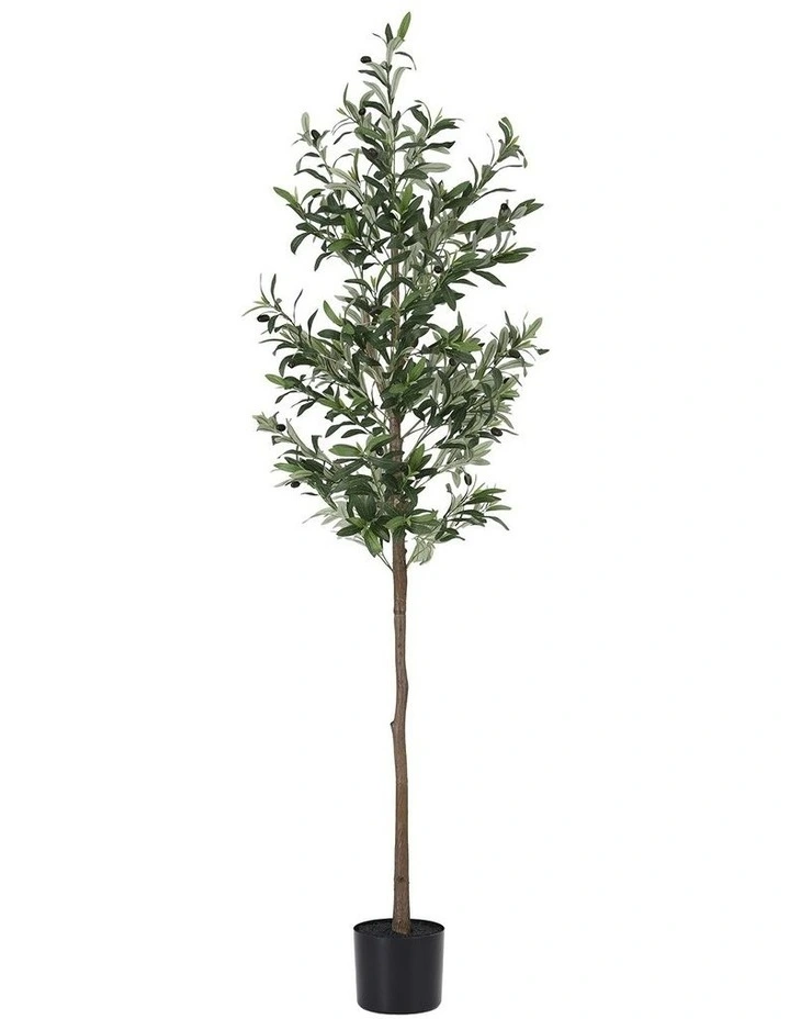 Indoor Decor Artificial Olive Tree 1.8m in Green image 1