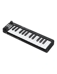 25-Key Portable Midi Keyboard