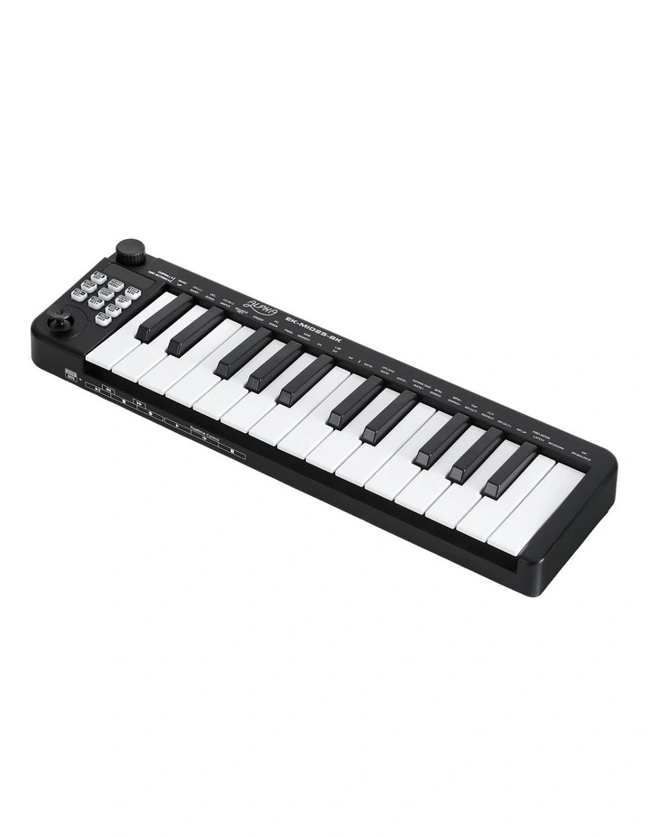 25-Key Portable Midi Keyboard image 1