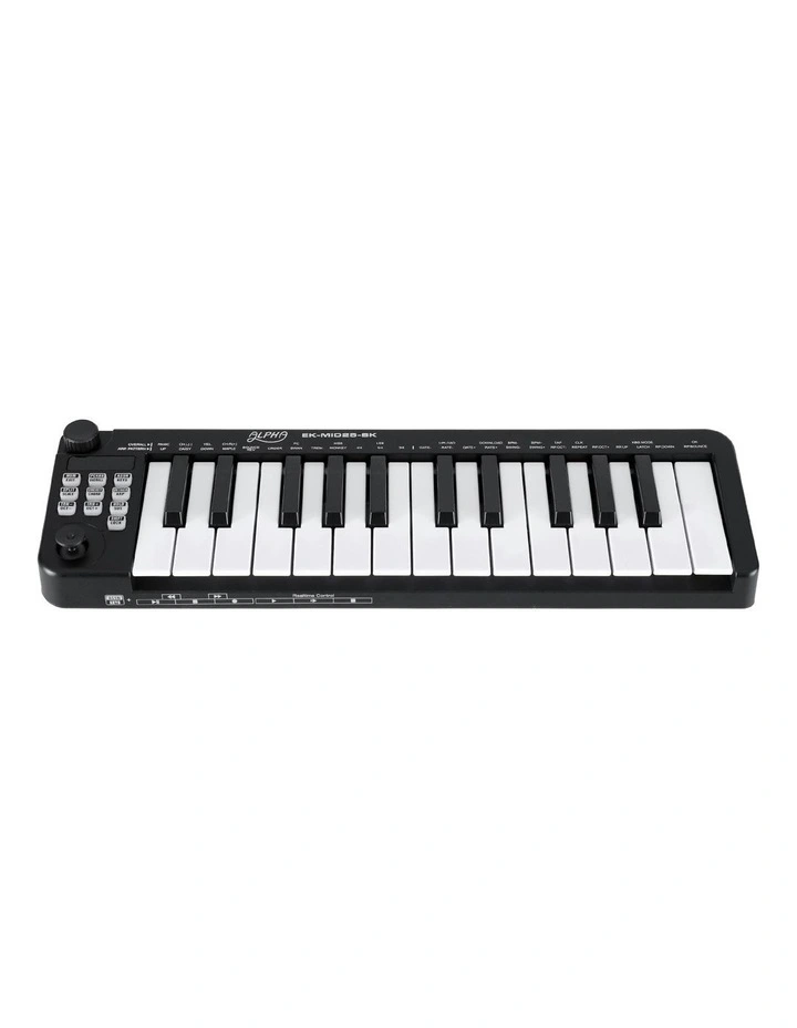 25-Key Portable Midi Keyboard image 2