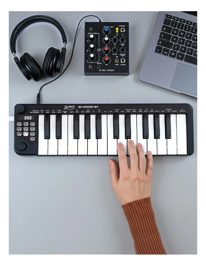 25-Key Portable Midi Keyboard image 5