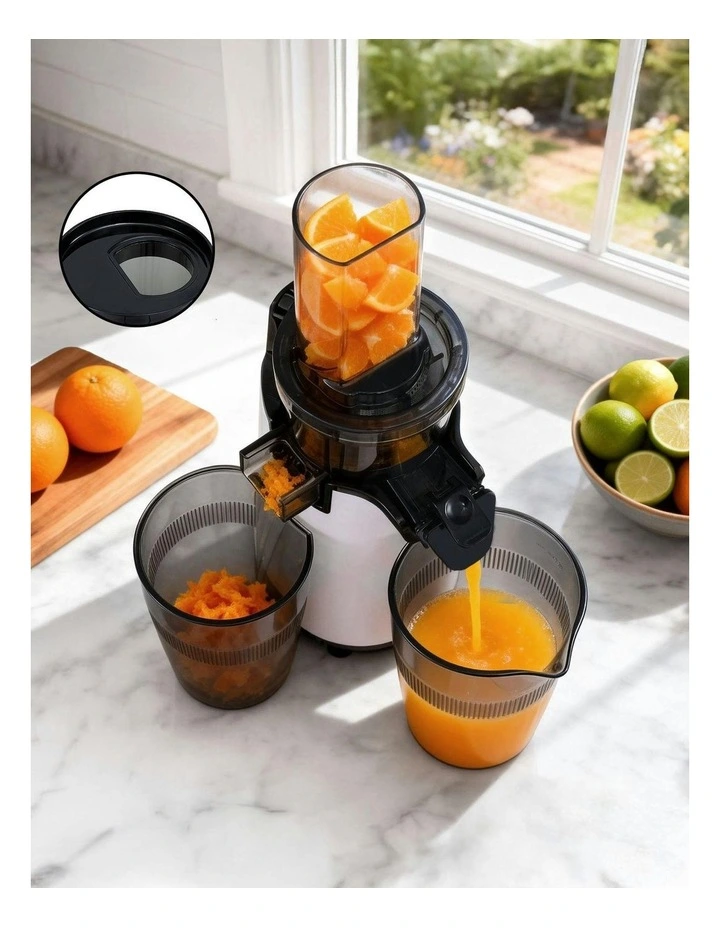 Cold Press Slow Juicer 130W in White image 6