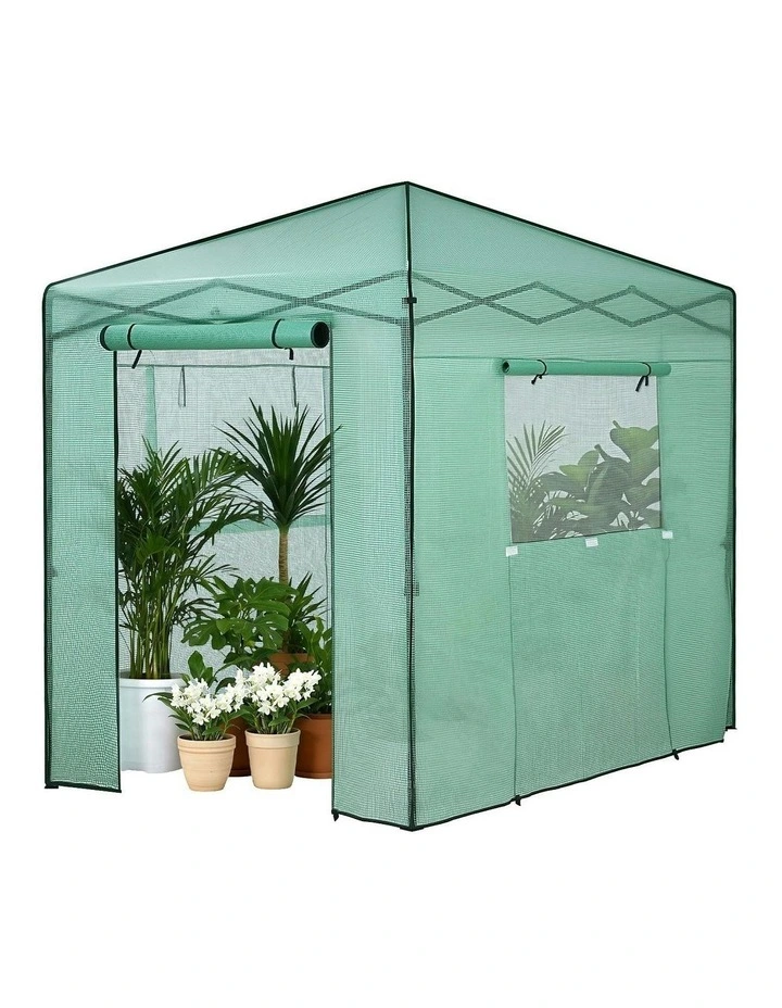 Steel Frame PE Cover Outdoor Greenhouse Shelter in Green image 1