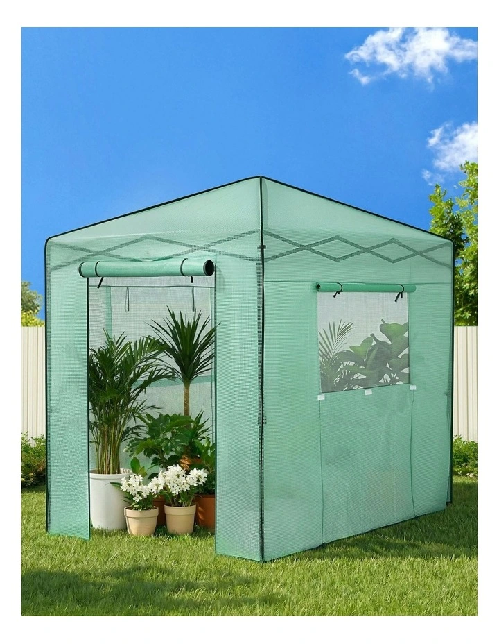 Steel Frame PE Cover Outdoor Greenhouse Shelter in Green image 3