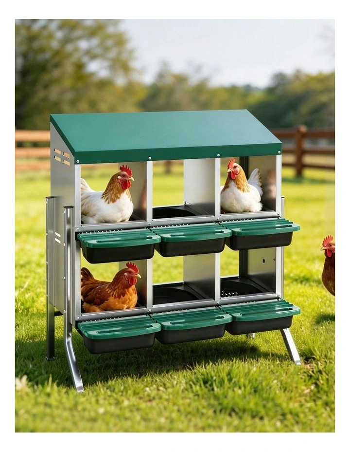 6 Holes Chicken Nesting Box in Green image 3