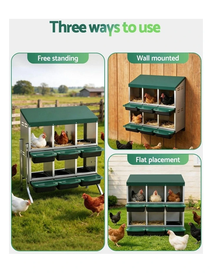 6 Holes Chicken Nesting Box in Green image 5